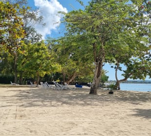 Hotelbilder: Hedonism II - Adults only (Negril) • HolidayCheck