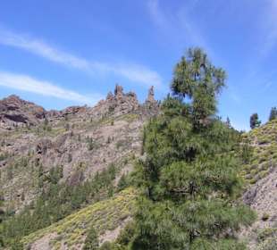 Landschaft beim Roque Nublo