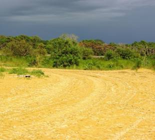 Strandbereich mit Hund