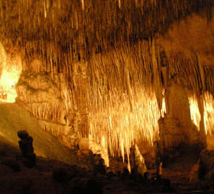 Drachenhöhle / Coves del Drac 