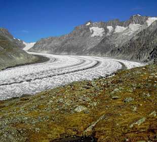 Aletschgletscher mit Großes Wannenhorn (3906 m) 
