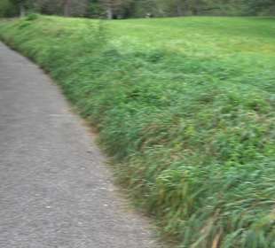 Altwege Rundwanderung Bebenhausen