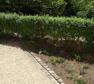 Rosengarten Nördlingen