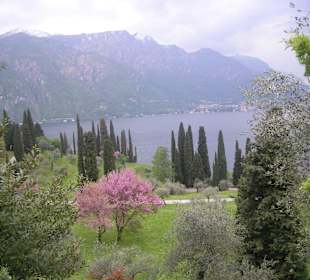 Villa Serbelloni, Garten