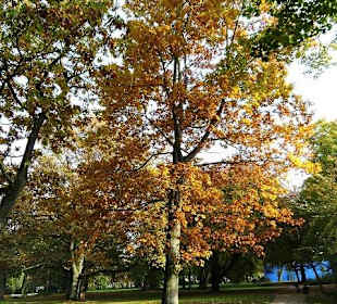 Schlosspark in Husum