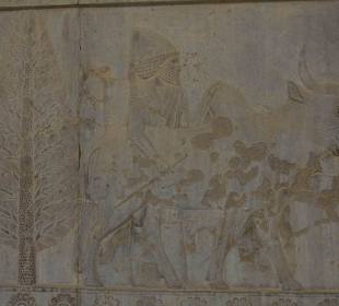 Płaskorzeźba w Persepolis