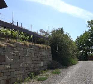 Früchtetrauf - Wurmlinger Kapellenwegle