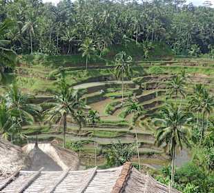 Blick auf die Terrassen