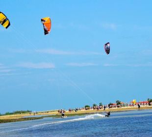 Strand Bibione 06_2011