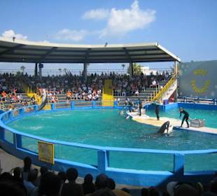 Miami Seaquarium