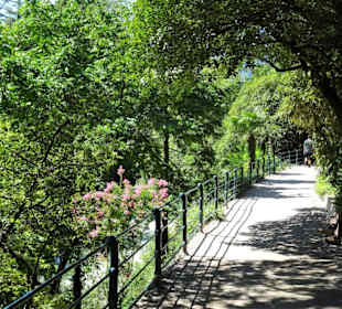Wanderung auf der Gilfpromenade