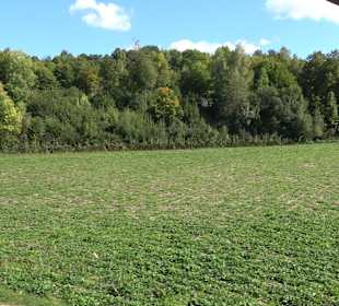 Schaukelweg an der Donau