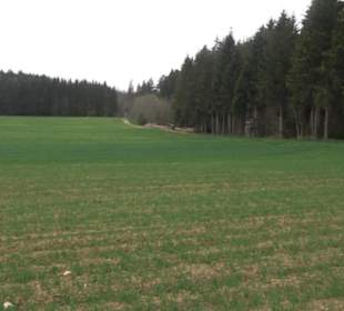 Wanderweg Kunst der kleinen Schritte