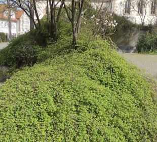 Park an der Mauritiuskirche