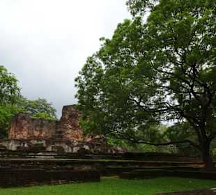 Polonnaruwa