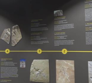 Dinosaurier Museum Altmühltal