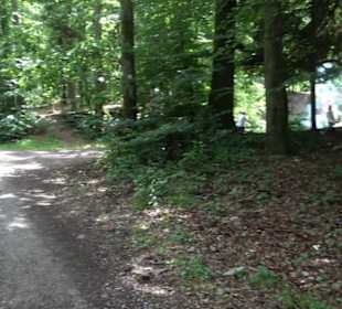 Schutzgebiet Spitzberg, Pfaffenberg