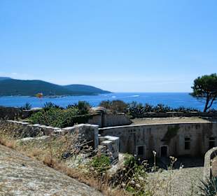 Mamula, Andrea, Velo, Anni 2011