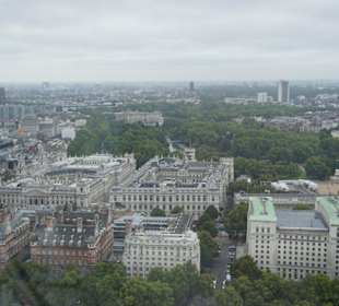 London Eye Ansicht / Aussicht