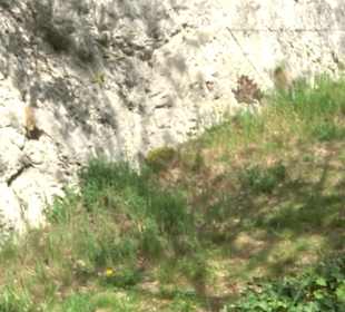 Schloss Wallerstein