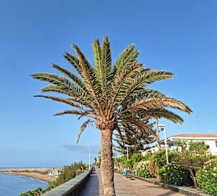 Stadtrundgang Playa del Ingles