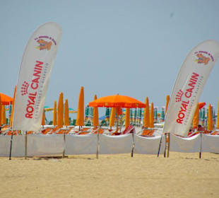 Strand von Bibione 06-2010