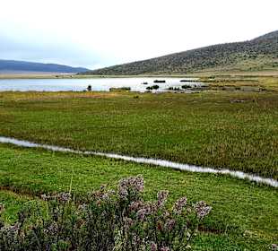 Cotopaxi Nationalpark