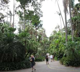 Botanischer Garten