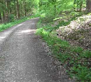 Wandertour Feuchtgebiet Schönbuch