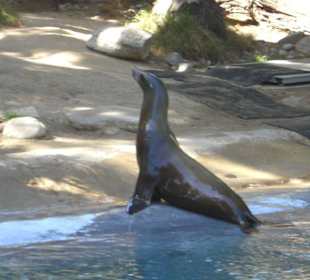 Hier ist jemand neugierig