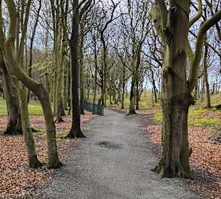 Wandern Graal-Müritz