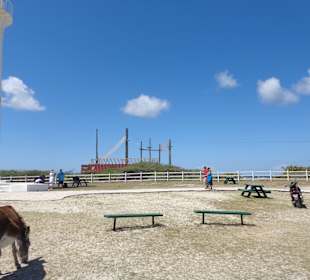 Blick auf das Gelände