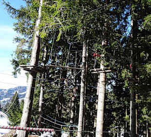 Kletterwald