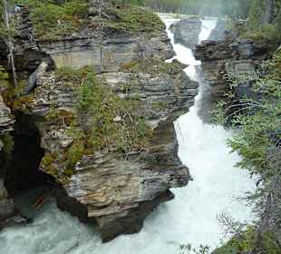 Athabasca Falls