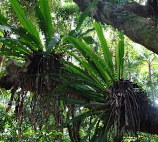 Impressionen aus dem Jardin des Parfums