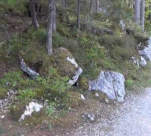 Eibsee