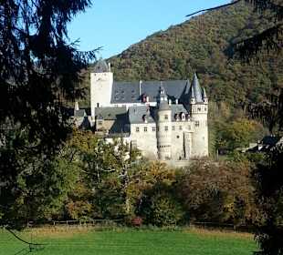 Traumpfad mit Traumblick