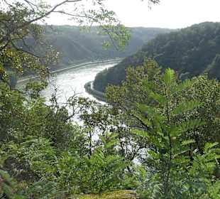 Blick vom Loreley-Plateau zum Rhein