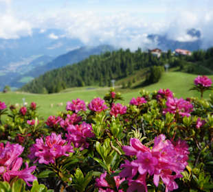 Wandern Reith im Alpbachtal