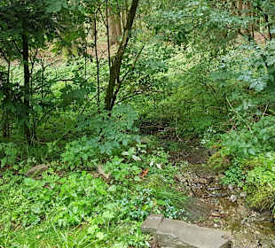 Wandern Schmallenberg