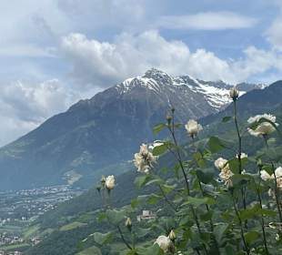 Blick zurück 
