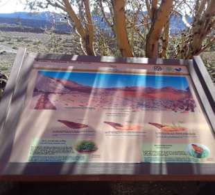 Teide Nationalpark in Las Canadas del Teide