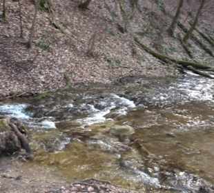 Bad Uracher Wasserfall