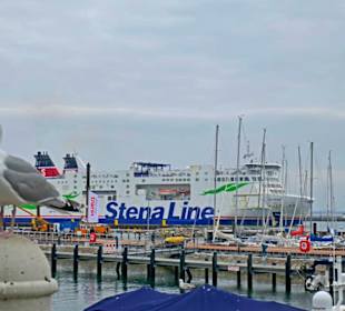 Möwen warten ob etwas abfällt