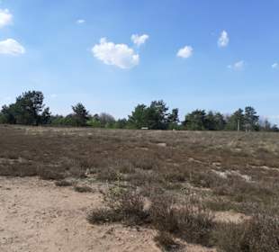 Mehlinger Heide