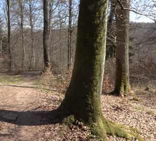 Geologischer Lehrpfad Kirnbachtal