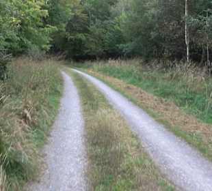 Altwege Rundwanderung Bebenhausen
