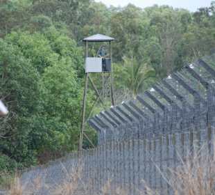 Das Kokosnuss Gefängnis