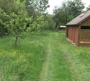 Naturinfopfad Weggental