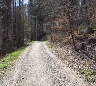 Waldkulturerbe Neuweiler Viehweide